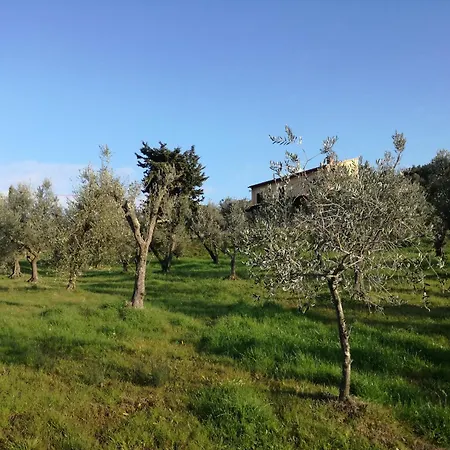 Vakantiehuis Cintoia, Tuscany Beautiful With Private Pool *